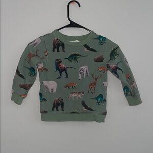 Boys Green Animal & Dinosaur Print Sweatshirt β Long Sleeve Pullover